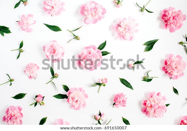 白い背景にピンクの牡丹の花 枝 葉 花びらの花柄 平面 上面図 牡丹の花のテクスチャー の写真素材 今すぐ編集