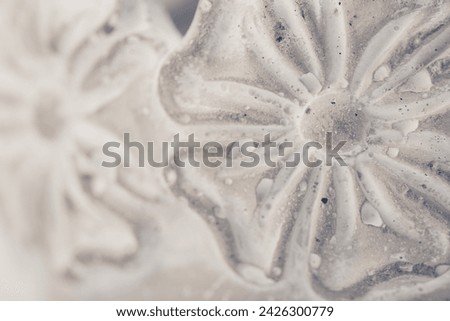 Flower pattern shape in cement background