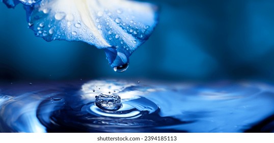flower petal with drops - macro