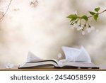 Flower petals blowing in the spring wind, white cherry blossom trees, the holy Bible, religion and faith background
