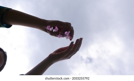 Flower Petals Falling From Hands