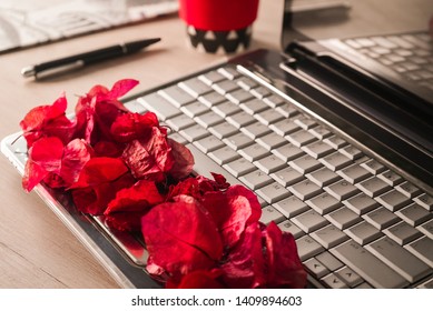 FLOWER PETALS ON A COMPUTER