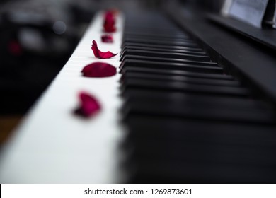 flower petals on piano keys