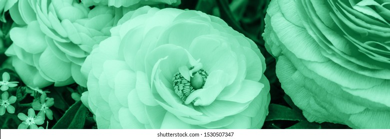 Mint Color Flowers High Res Stock Images Shutterstock