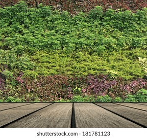 Flower And Plant Wall Vertical Garden