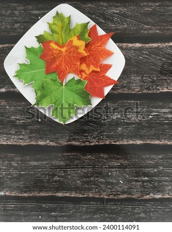 Flower in a plate on woodbackground