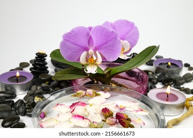 Flower pot with a blooming purple-pink orchid stands on a white table among black pebbles, bowl with water and petals and colorful burning candles