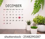 Flower pot and calendar for the snow season from 20 December. Winter time