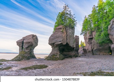 Flower Pot Formations Along Bay Fundy Stock Photo (Edit Now) 1504878839