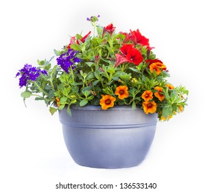 Flower pot isolated