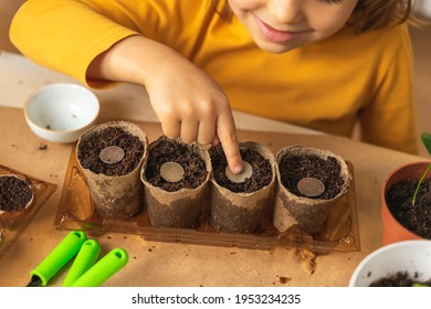 In Flower Pots The Child Tosses Coins. Cash Growth, Business Concept, Investment, Gardening