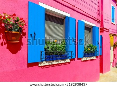 Flower pots decorate on the walls and blue windows of the pink house. Colorful architecture in Burano Island, Venice, Italy