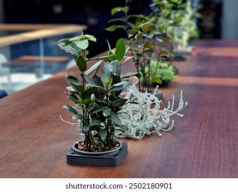 the flower pots are embedded in the table top. among them are herbs for direct plucking, or for the kitchen to cook meals from fresh ingredients