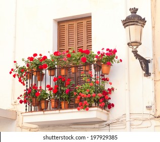 Flower Pots On Balcony House Stock Photo 197929385 | Shutterstock