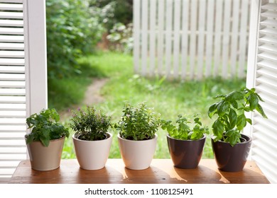 flower pots on table