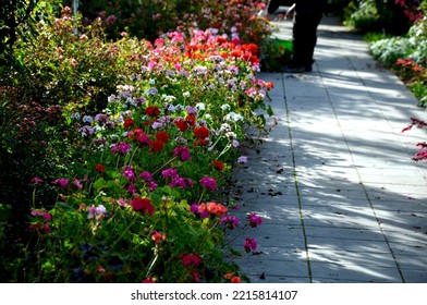 Flower Pyramid In The Urban Environment In The Pedestrian Zone Blooms Red And White Annuals This Is A Seasonal Ornamental Column In The Square, Yard, Horticulture, Row