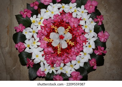 5,785 Champa Flowers Images, Stock Photos & Vectors | Shutterstock