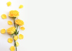 Flower And Rose Background. Yellow Roses Composition.  Roses And Petals Isolate On White Background. Valentine Day Concept. Flat Lay, Top View, Copy Space