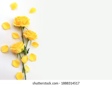 Yellow Rose Free Stock Photo | picjumbo
