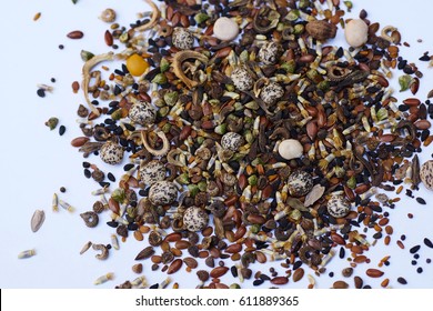 Flower Seeds