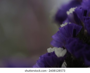 a flower in selective focus 