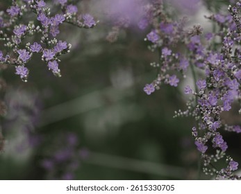 Flower in a selective focus 