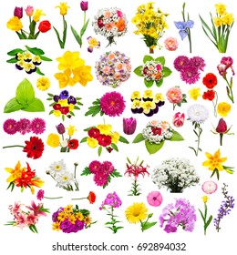 Flower set with roses, chamomiles, chrysanthemum, iris, gerbera, lavatera, lily, phlox, pansies and other isolated on white background. Summer, flora, spring. Plants. Assorted. Flat lay, top view