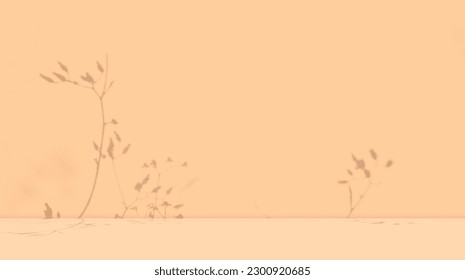 Flower Shadow Studio Summer Spring Background,Beige Light Overlay on Table Product Cosmetic Scene Backdrop,Empty Paper Minimalist Loft Room Floor Wall Space Template,Abstract Pattern Texture Cement.