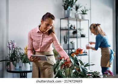 Flower Shop Owner Using Digital Tablet While Checking Flowers At Her Store.