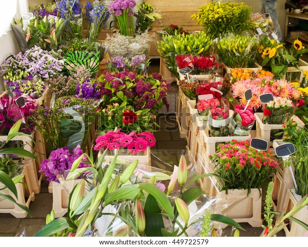 onderwijs embargo meer Titicaca Flower Shop Seen Amsterdam Netherlands Beautiful Stock Photo (Edit Now)  449722579