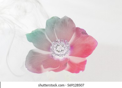 Flower and smoke in the background , inverted colors