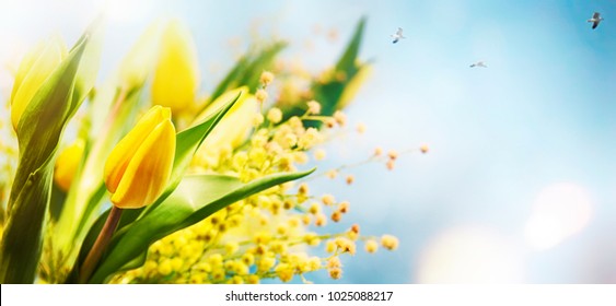 Flower spring background, 8 March, Easter - Shutterstock ID 1025088217