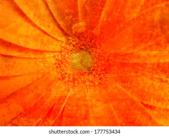 Flower texture