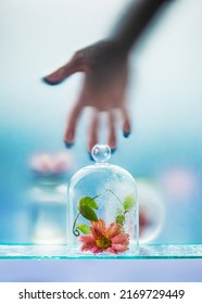 Flower Under A Glass Dome, Reaching Hand, Matte Glass Still Life