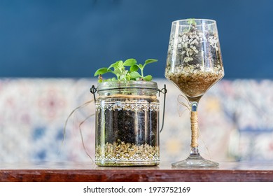 Flower Vase Made With Glass And Glass Pot.