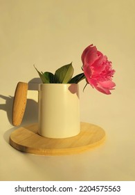 A Flower In A Vase On A White Background In The Rays Of Sunlight