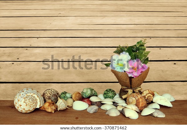 Flower Vase Pile Seashell Wooden Floor Stock Photo Edit Now