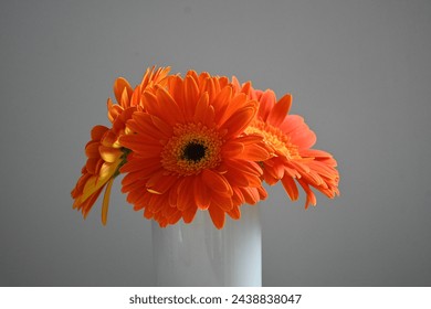 A flower in the void
