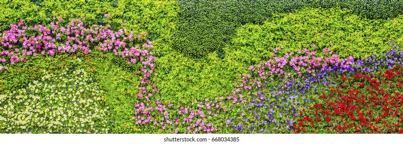 Flower wall
