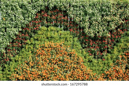 Flower Wall Vertical Garden