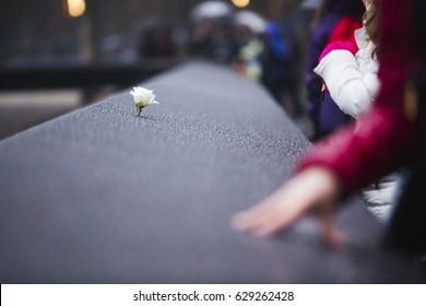 Flower At World Trade Center Memorial