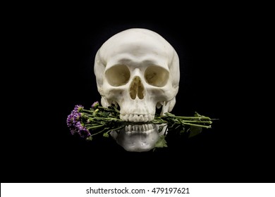 Flower for you abstraction from human skull model with beautiful flower in mouth on dark background.