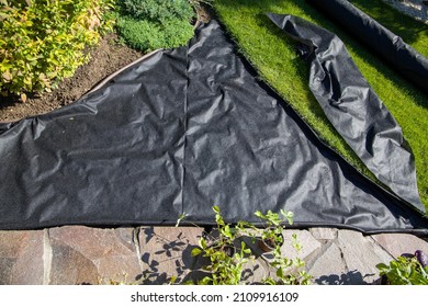 The Flowerbed Is Covered With Black Geotextile.