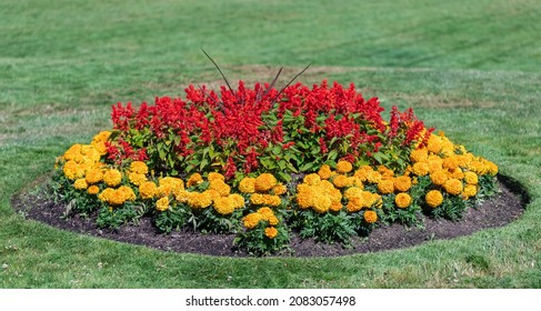 Flowerbed in park. Circle of flower bed in a city park. Street view, travel photo, selective focus. - Powered by Shutterstock