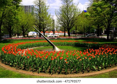 Flowerbed Of Sapporo Odori Park