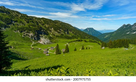 8,554 Meadow Vole Images, Stock Photos & Vectors | Shutterstock