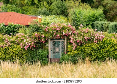 A Flowered Entrance Gate On The Oder River