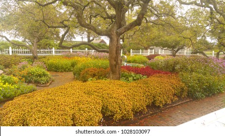 Flowering Autumn Garden In Portsmouth, New Hampshire