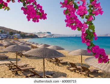 3,793 Bougainvillea beach Images, Stock Photos & Vectors | Shutterstock