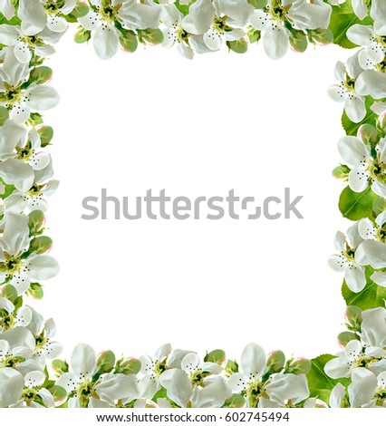 Similar – Hops frame on white background